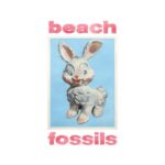 Beach Fossils Bunny Review Kritik