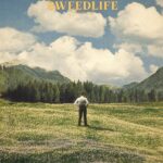 Sweed Sweedlife Review Kritik